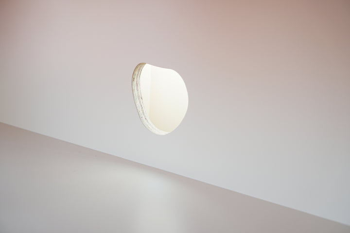 scallop TV board